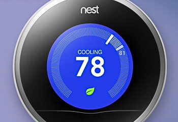 Nest Rush Hour Rewards
