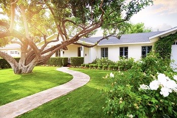 Tree Placement and Energy Savings