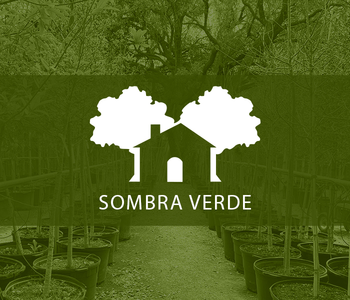 Programa de Sombra Verde