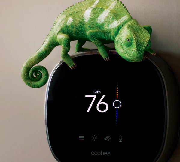 Photo of a green lizard on thermostat