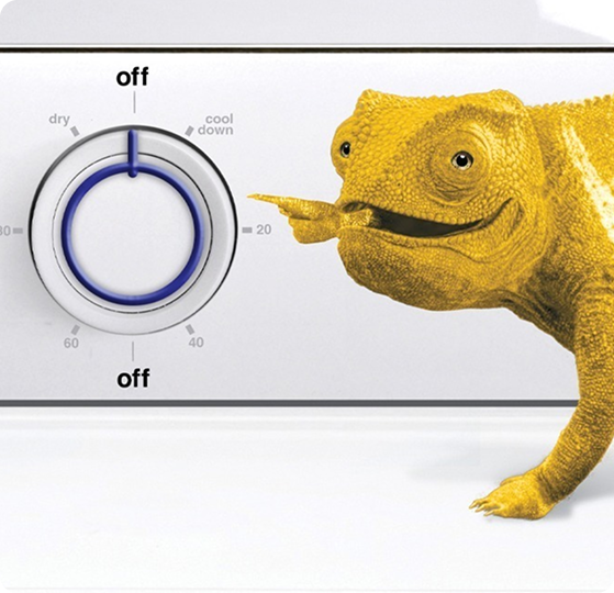 Photo of a yellow lizard on appliance