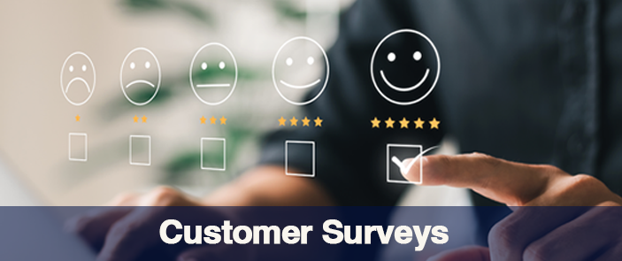 Customer Value Survey