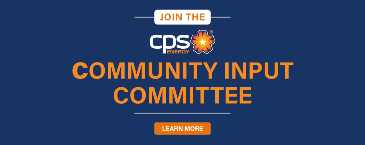 Community Input Committee (CIC)