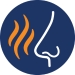 light icon