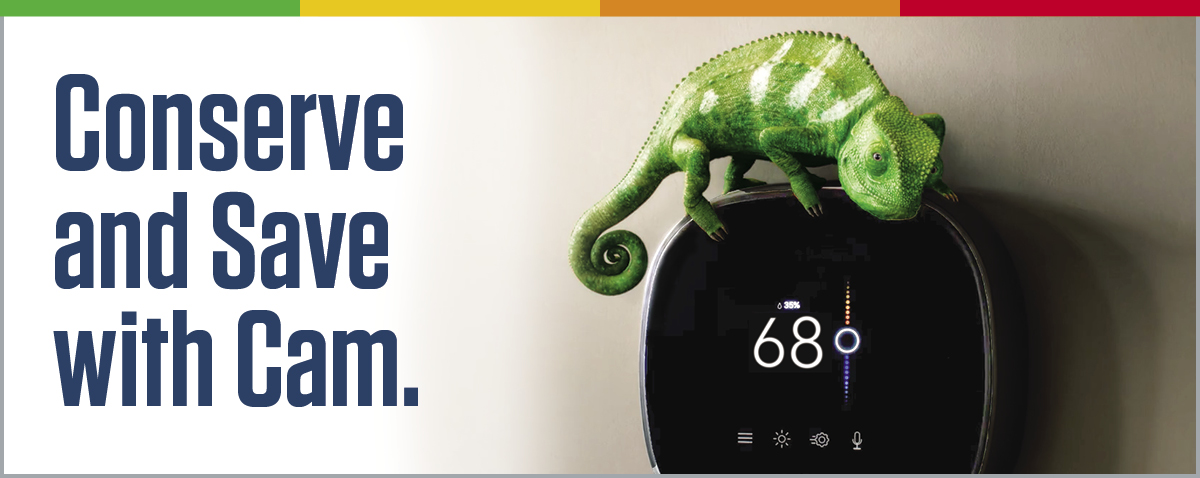 Summer season conserve and save with Cam.