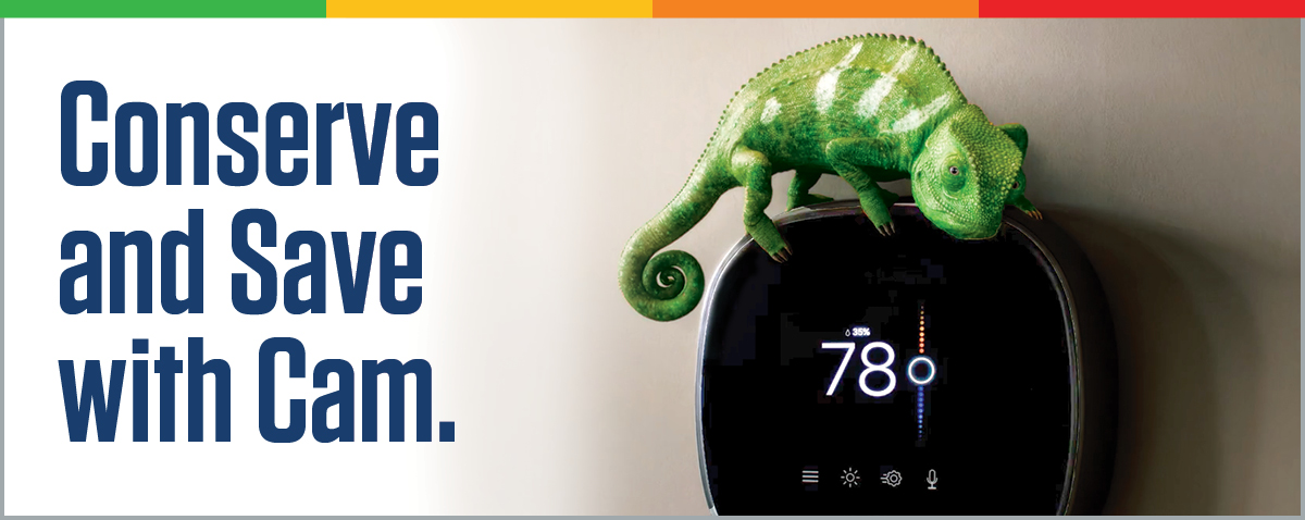 Winter season conserve and save with Cam.