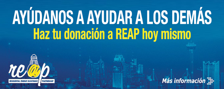 Donate to REAP