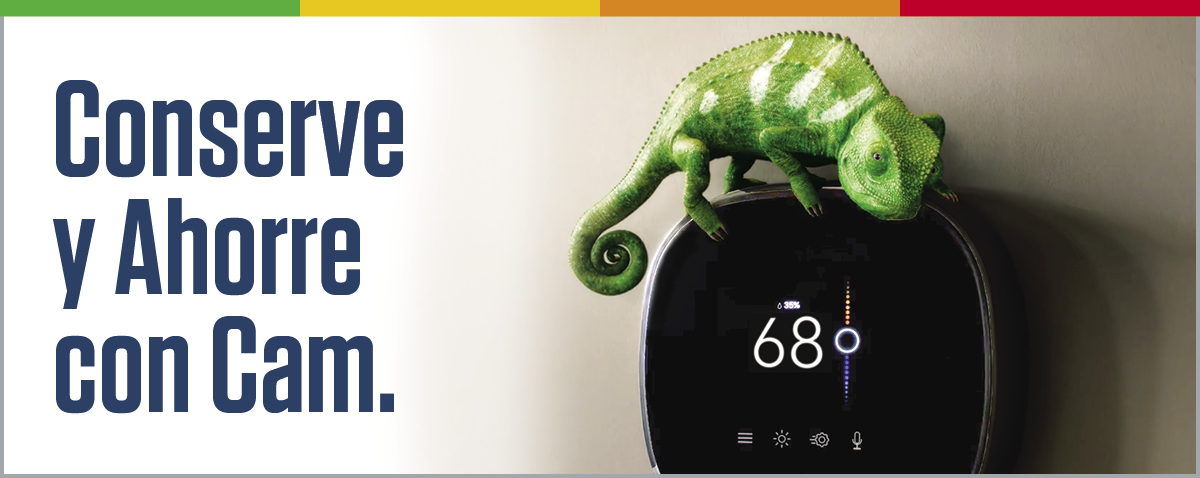Verano conserve y Ahorre con Cam