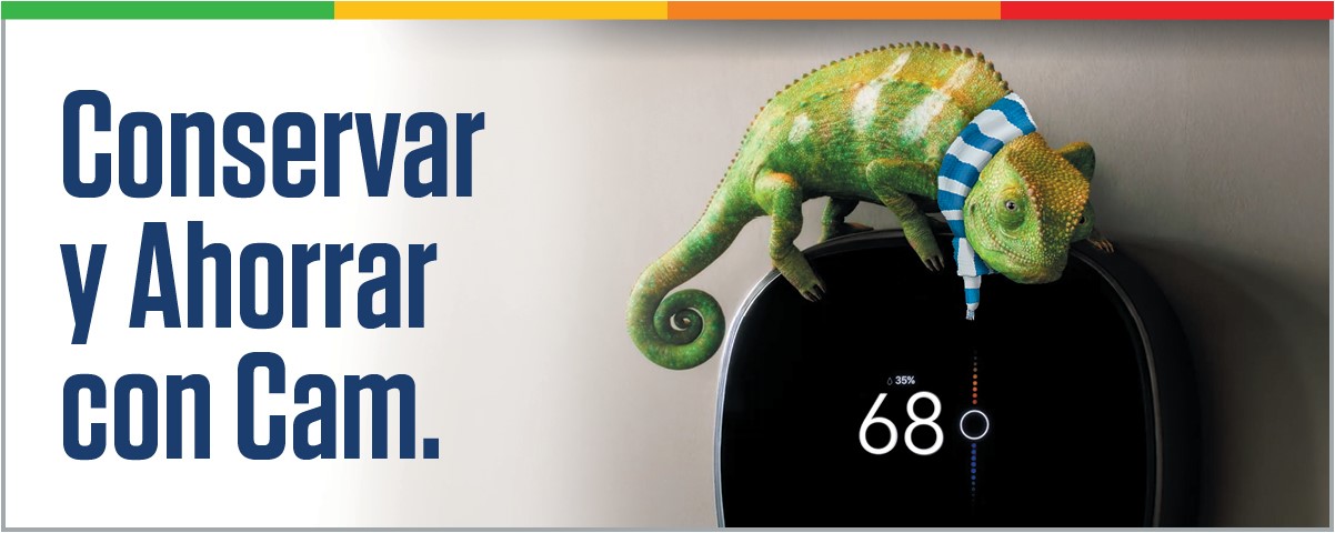 Invierno conserve y Ahorre con Cam