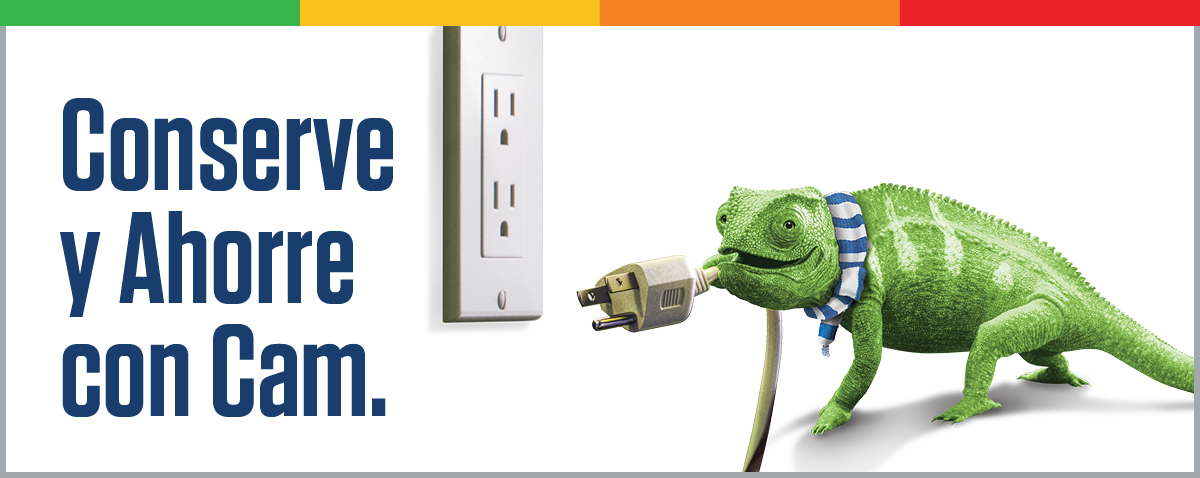 Invierno conserve y Ahorre con Cam