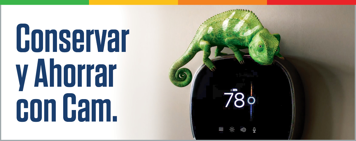 Invierno conserve y Ahorre con Cam